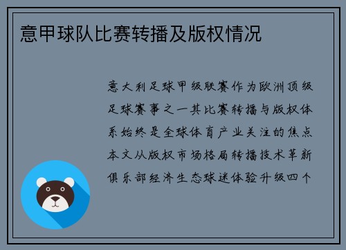 意甲球队比赛转播及版权情况